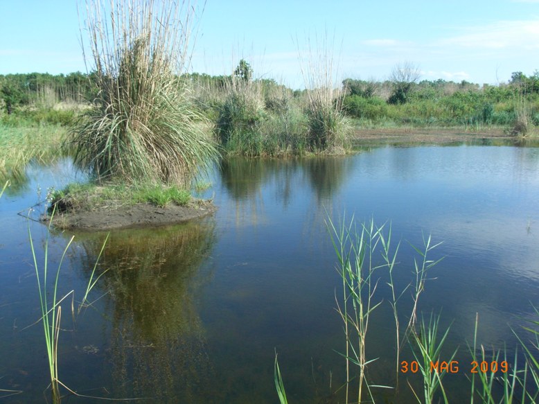 Laghi .....del MOLISE